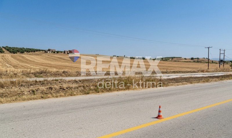 Αγροτεμάχια 20.000 τ.μ. για πώληση, Ν. Λάρισας, Κοιλάδα