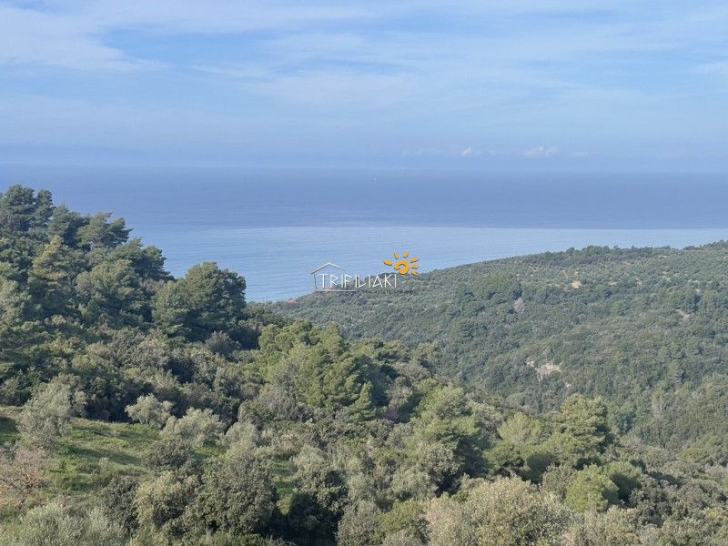 Αγροτεμάχια 5.259 τ.μ. προς πώληση, Κέντρο Ρίου