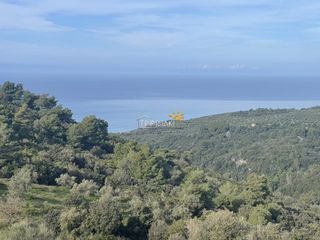 Αγροτεμάχια 5.259 τ.μ. για πώληση, Αχαΐα, Ρίο-thumb-2
