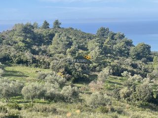 Αγροτεμάχια 5.259 τ.μ. για πώληση, Αχαΐα, Ρίο-thumb-7