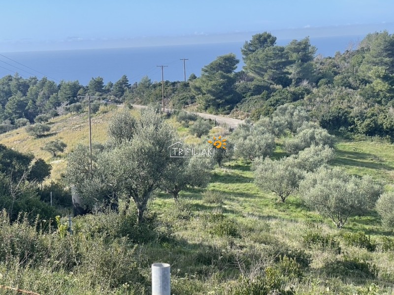 Αγροτεμάχια 5.259 τ.μ. προς πώληση, Κέντρο Ρίου