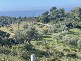 Αγροτεμάχια 5.259 τ.μ. για πώληση, Αχαΐα, Ρίο-thumb-1