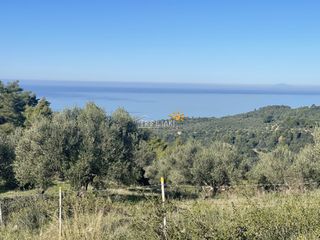 Αγροτεμάχια 8.200 τ.μ. προς πώληση, Κέντρο Ρίου-thumb-6