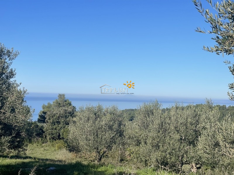 Αγροτεμάχια 8.200 τ.μ. προς πώληση, Κέντρο Ρίου