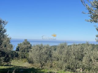 Αγροτεμάχια 8.200 τ.μ. προς πώληση, Κέντρο Ρίου-thumb-3