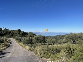 Αγροτεμάχια 8.200 τ.μ. προς πώληση, Κέντρο Ρίου-thumb-9