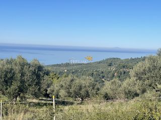 Αγροτεμάχια 8.200 τ.μ. προς πώληση, Κέντρο Ρίου-thumb-5