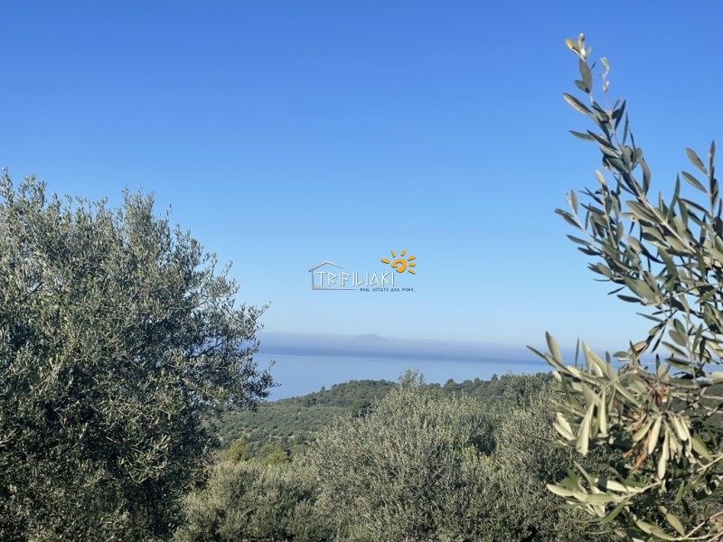 Αγροτεμάχια 8.200 τ.μ. προς πώληση, Κέντρο Ρίου