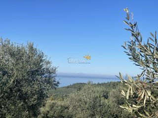 Αγροτεμάχια 8.200 τ.μ. προς πώληση, Κέντρο Ρίου-thumb-1