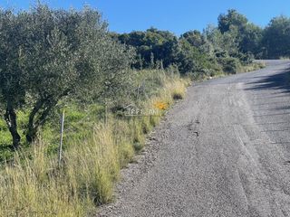Αγροτεμάχια 8.200 τ.μ. προς πώληση, Κέντρο Ρίου-thumb-4