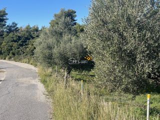 Αγροτεμάχια 8.200 τ.μ. προς πώληση, Κέντρο Ρίου-thumb-8
