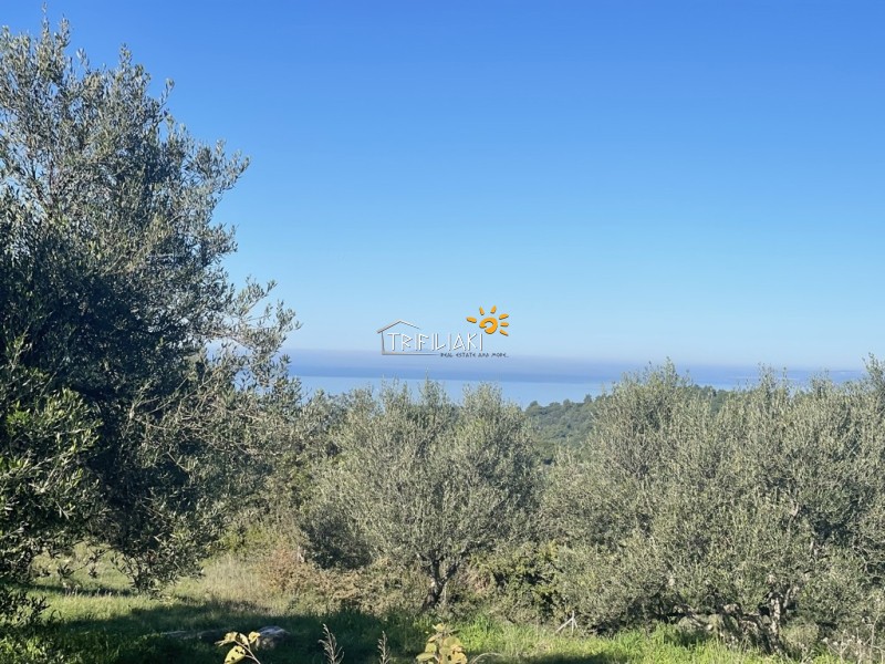 Αγροτεμάχια 8.200 τ.μ. προς πώληση, Κέντρο Ρίου