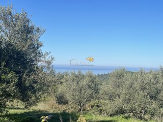 Αγροτεμάχια 8.200 τ.μ. προς πώληση, Κέντρο Ρίου-thumb-2