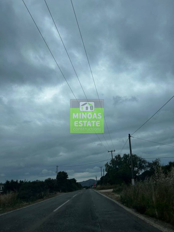 Οικόπεδο 2.165 τ.μ. προς πώληση, Μουζουράς