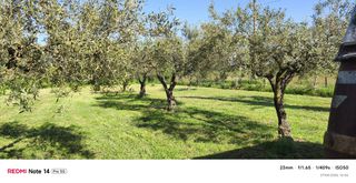 Μονοκατοικία 175 τ.μ. για πώληση, Ν. Δράμας, Δράμα-thumb-11