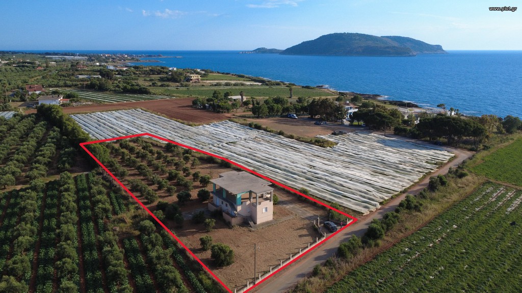 Μονοκατοικία 269 τ.μ. πρός πώληση, Μεσσηνία, Γαργαλιάνοι