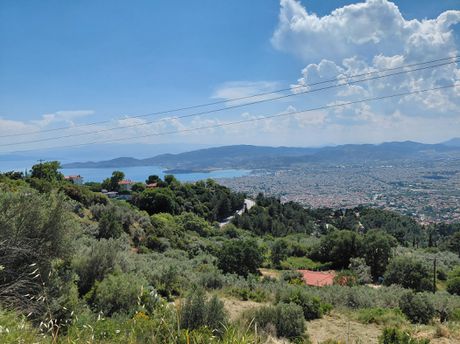 Οικόπεδο 1.295 τ.μ. για πώληση