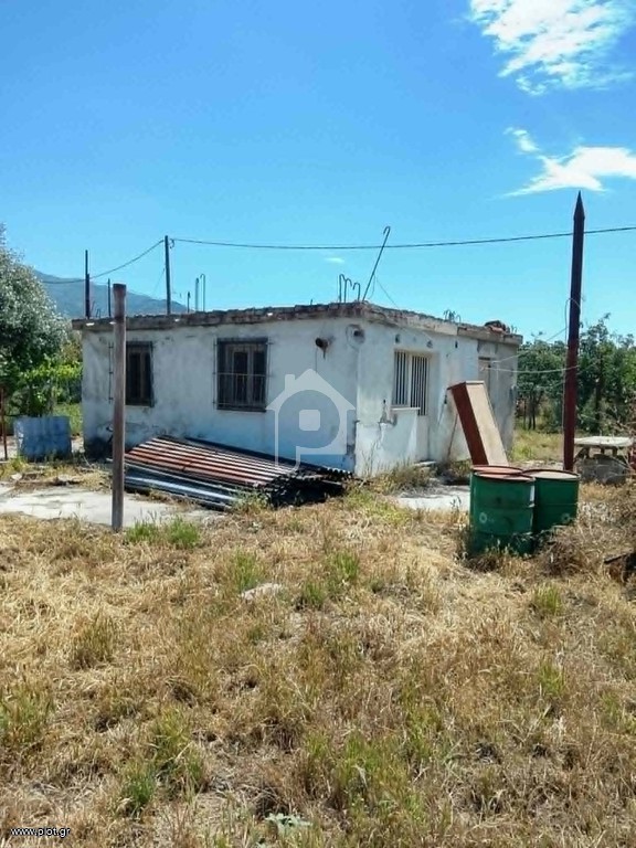 Μονοκατοικία 40 τ.μ. πρός πώληση, Μαγνησία, Αρτέμιδα