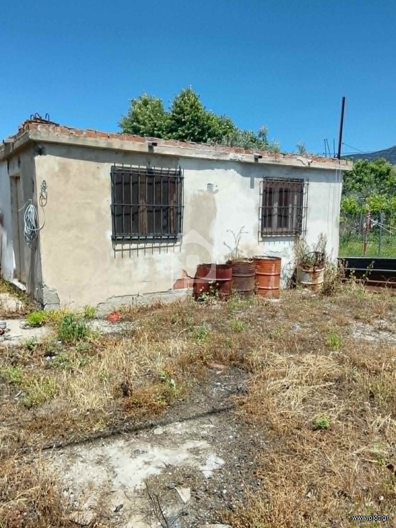 Μονοκατοικία 40 τ.μ. πρός πώληση, Μαγνησία, Αρτέμιδα