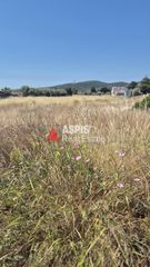 Αγροτεμάχια 3.116 τ.μ. για πώληση