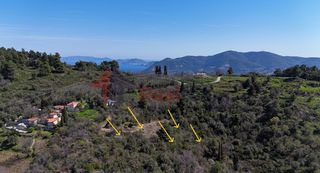 Αγροτεμάχια 4.553 τ.μ. για πώληση