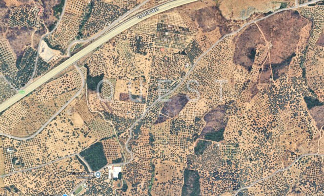 Αγροτεμάχια 4.161 τ.μ. προς πώληση, Μάκρη Αλεξανδρούπολης