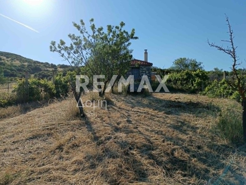 Αγροτεμάχια 4.540 τ.μ. προς πώληση, Γλαφυρά