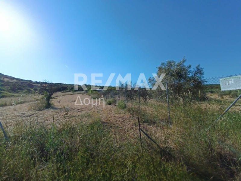 Αγροτεμάχια 4.540 τ.μ. προς πώληση, Γλαφυρά