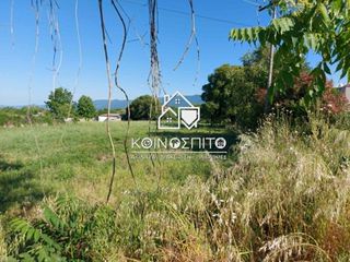 Οικόπεδο 6.700 τ.μ. για πώληση