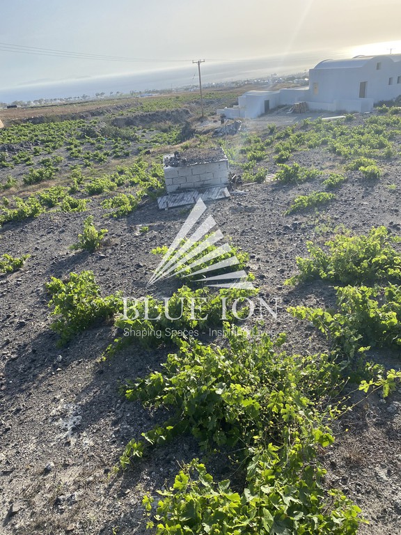 Αγροτεμάχια 2.204 τ.μ. πρός ενοικίαση, Κυκλάδες, Σαντορίνη