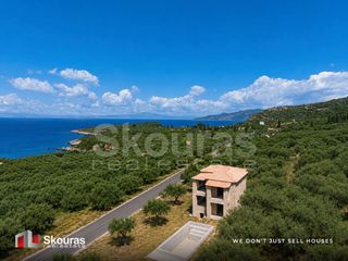 Βίλλα 250 τ.μ. πρός πώληση, Μεσσηνία, Λεύκτρος-thumb-10