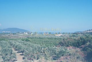 Αγροτεμάχια 5.596 τ.μ. για πώληση, Ν. Καβάλας, Ελευθερές-thumb-1