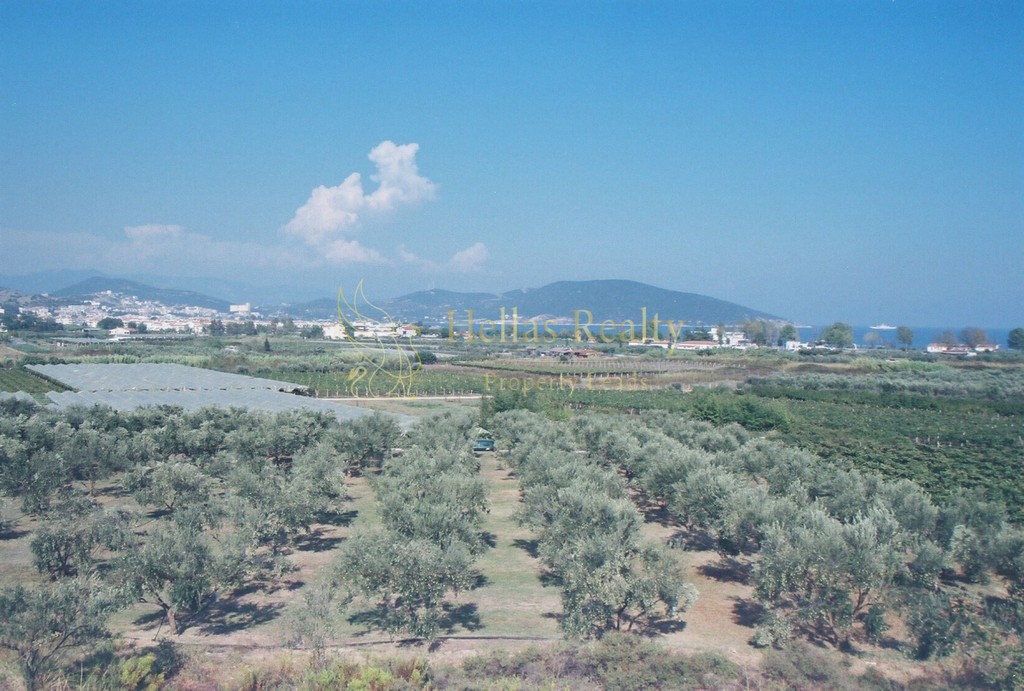 Αγροτεμάχια 5.596 τ.μ. για πώληση, Ν. Καβάλας, Ελευθερές