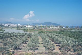 Αγροτεμάχια 5.596 τ.μ. για πώληση