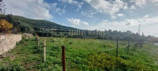 Οικόπεδο 2.000 τ.μ. για πώληση