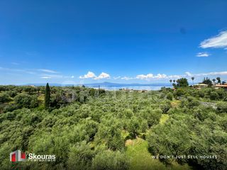 Μονοκατοικία 258,50 τ.μ. για πώληση, Μεσσηνία, Αβία-thumb-5
