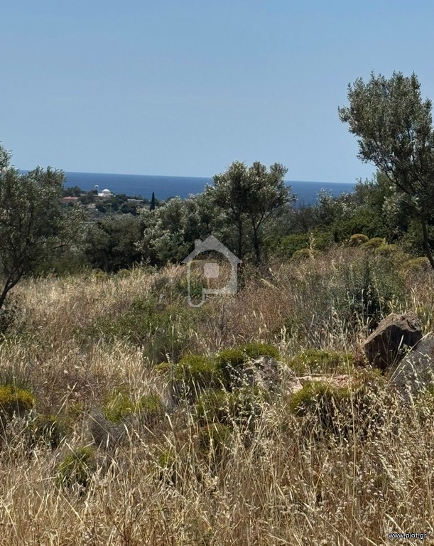 Οικόπεδο 2.000 τ.μ. πρός ενοικίαση, Αθήνα - Ανατολικά Προάστια, Κορωπί