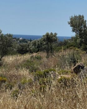 Οικόπεδο 2.000 τ.μ. πρός ενοικίαση