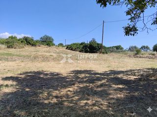 Αγροτεμάχια 9.000 τ.μ. για πώληση, Πέλλα, Γιαννιτσά-thumb-10