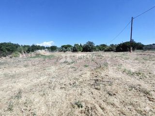 Αγροτεμάχια 9.000 τ.μ. για πώληση, Πέλλα, Γιαννιτσά-thumb-3