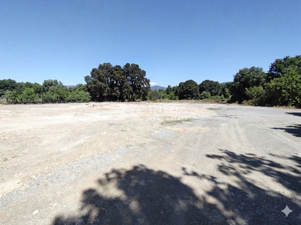 Αγροτεμάχια 9.000 τ.μ. προς ενοικίαση, Πέλλα, Γιαννιτσά