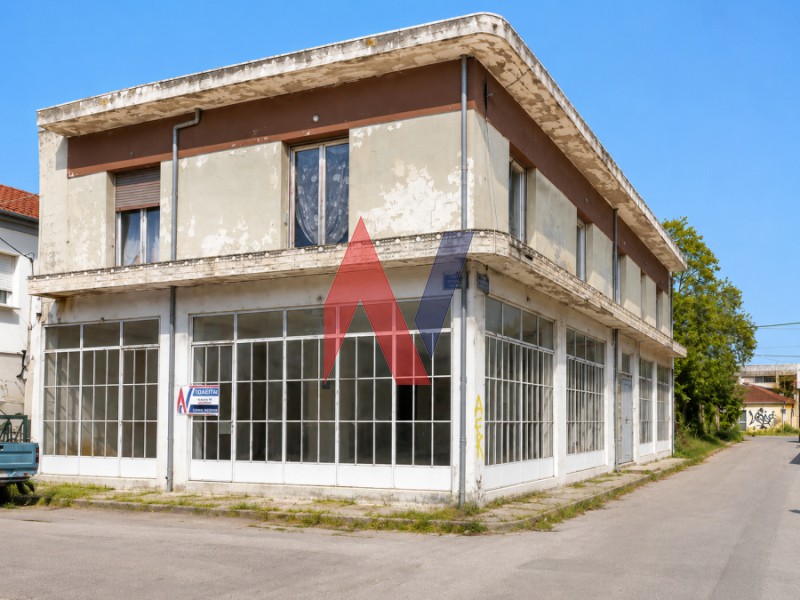 Loft 291 τ.μ. πρός πώληση, Μαγνησία, Βόλος