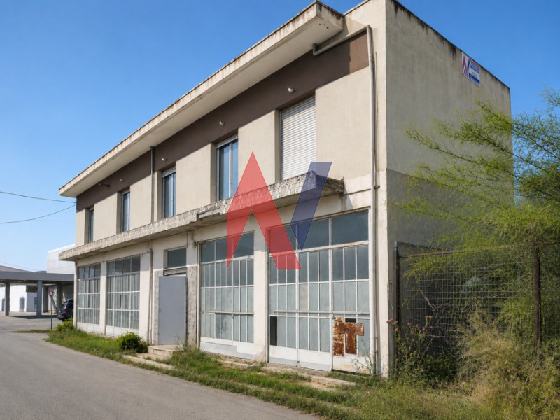 Loft 291 τ.μ. πρός πώληση, Μαγνησία, Βόλος