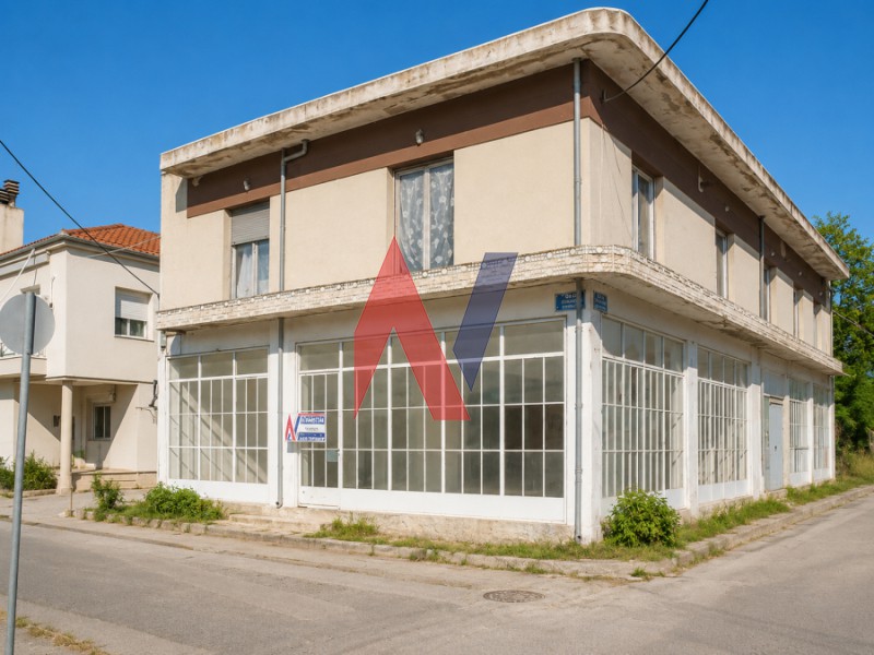 Loft 291 τ.μ. πρός πώληση, Μαγνησία, Βόλος