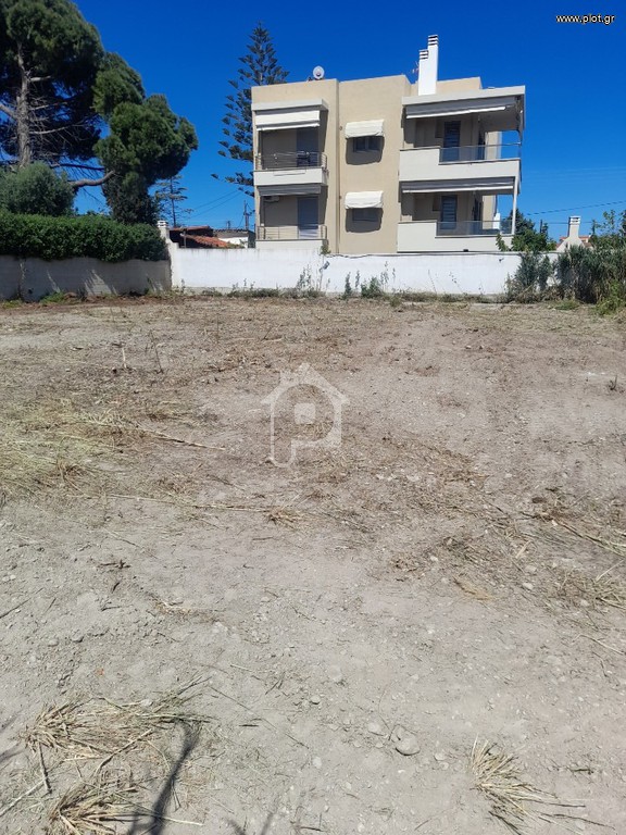 Οικόπεδο 750 τ.μ. προς πώληση, Νεράντζα