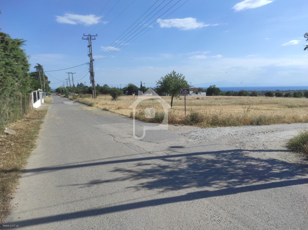 Οικόπεδο 5.000 τ.μ. προς πώληση, Κέντρο Καλλικράτειας