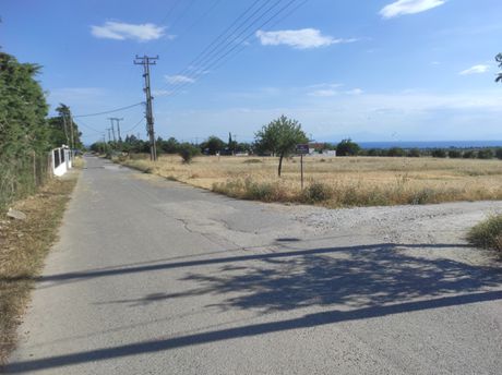 Land plot 5.000 sqm for sale