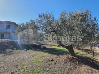 Μονοκατοικία 200 τ.μ. για πώληση, Αργολίδα, Ερμιόνη-thumb-6