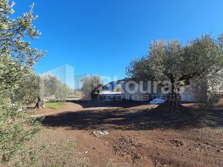 Μονοκατοικία 200 τ.μ. για πώληση, Αργολίδα, Ερμιόνη-thumb-3