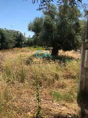Αγροτεμάχια 250 τ.μ. για πώληση